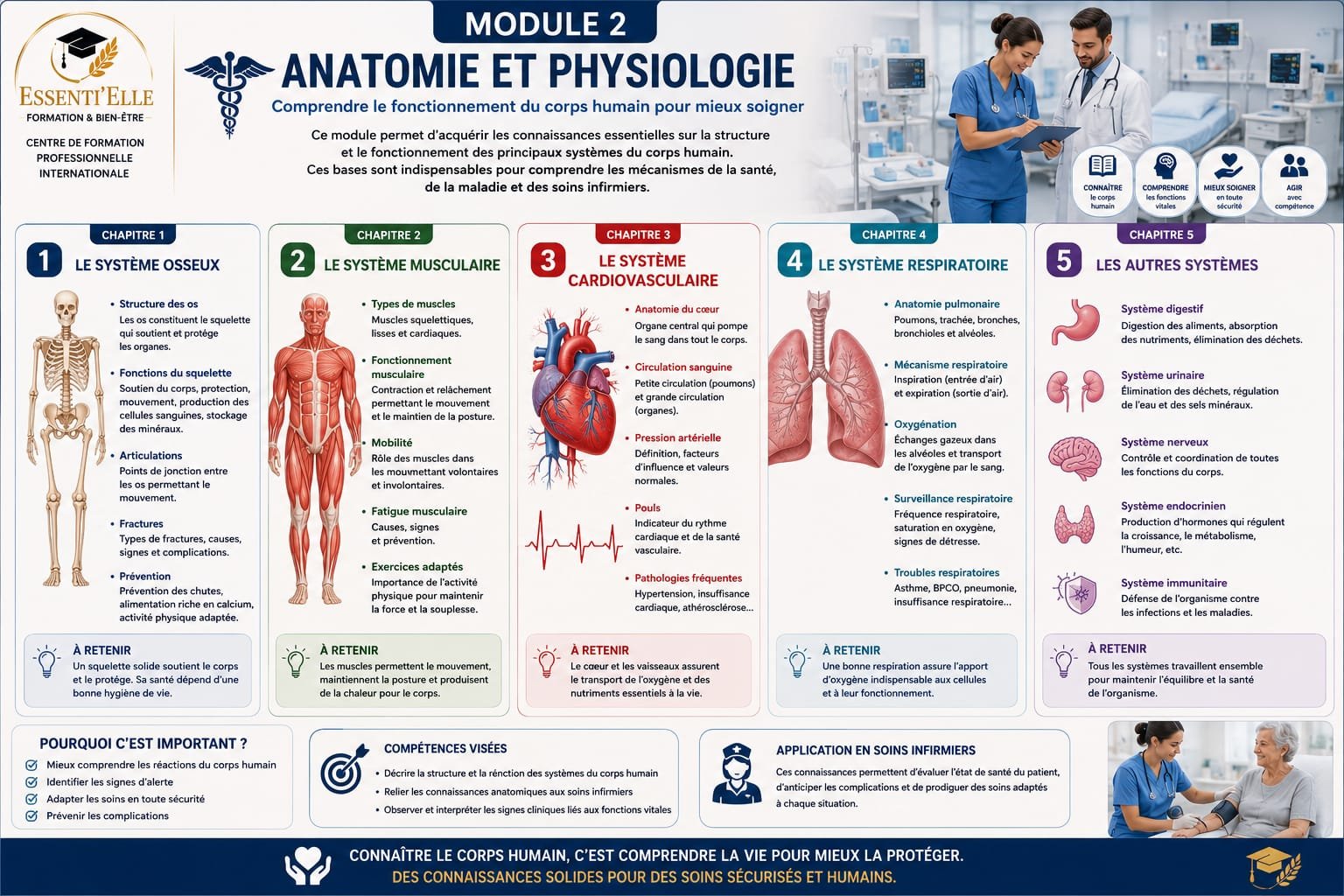 Soins infirmiers (pansement, perfusion, suture)